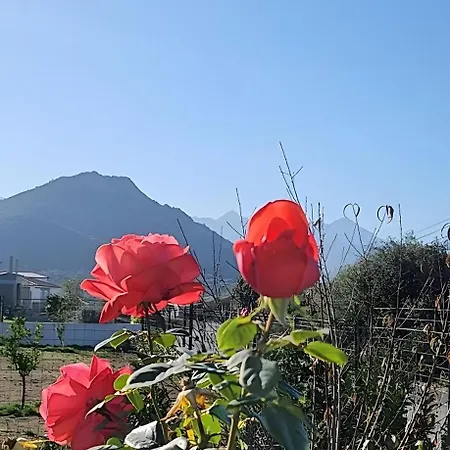 Casa Lucia Diana Holiday home *