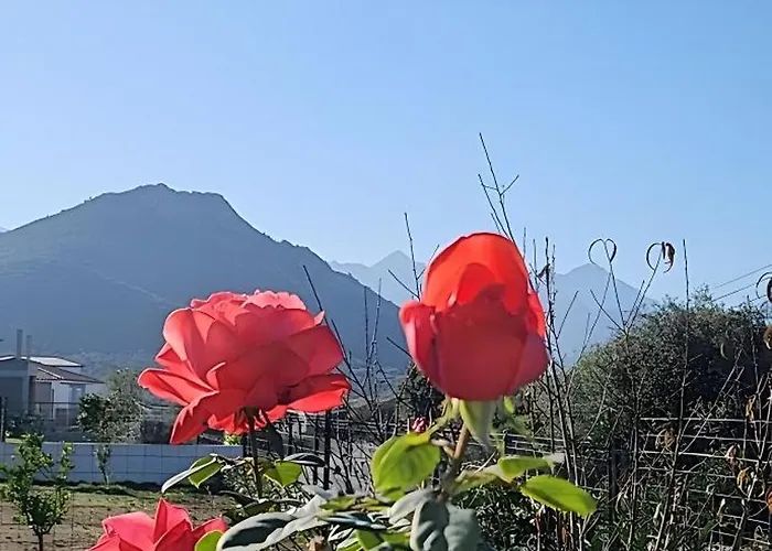 Casa Lucia Diana Holiday home *