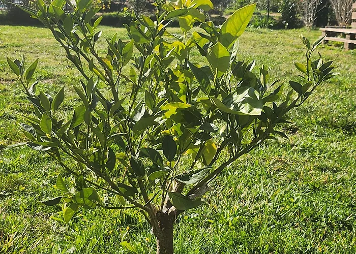 Vakantiehuis Casa Lucia Diana *